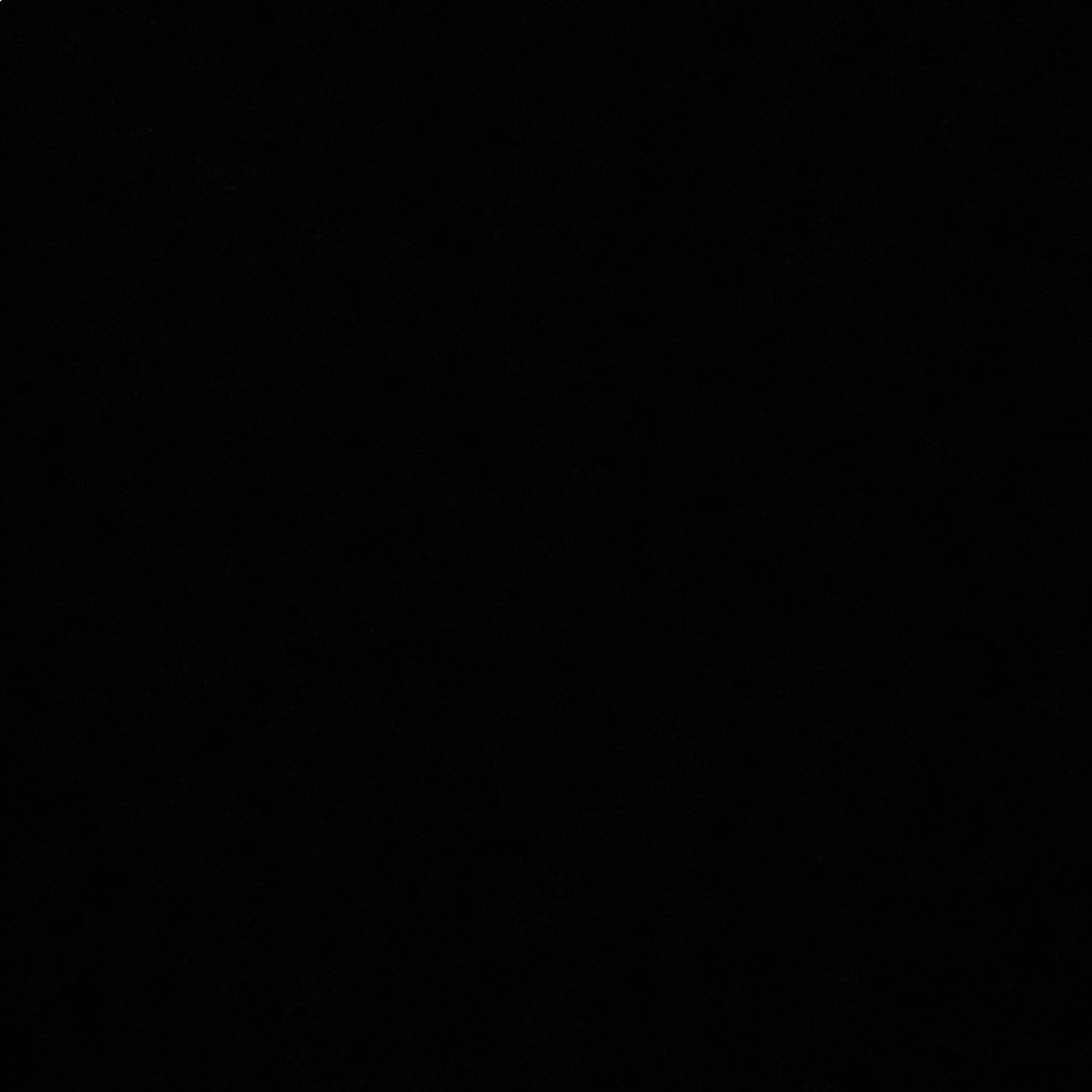 Meet your Posher, Danika